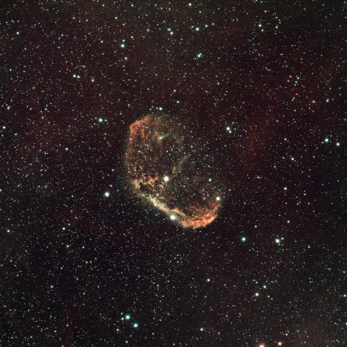 the jellyfish-like crescent nebula appears as a shell of orange gas in this image, floating in a dense region of stars, with a rich background of faint red nebulosity